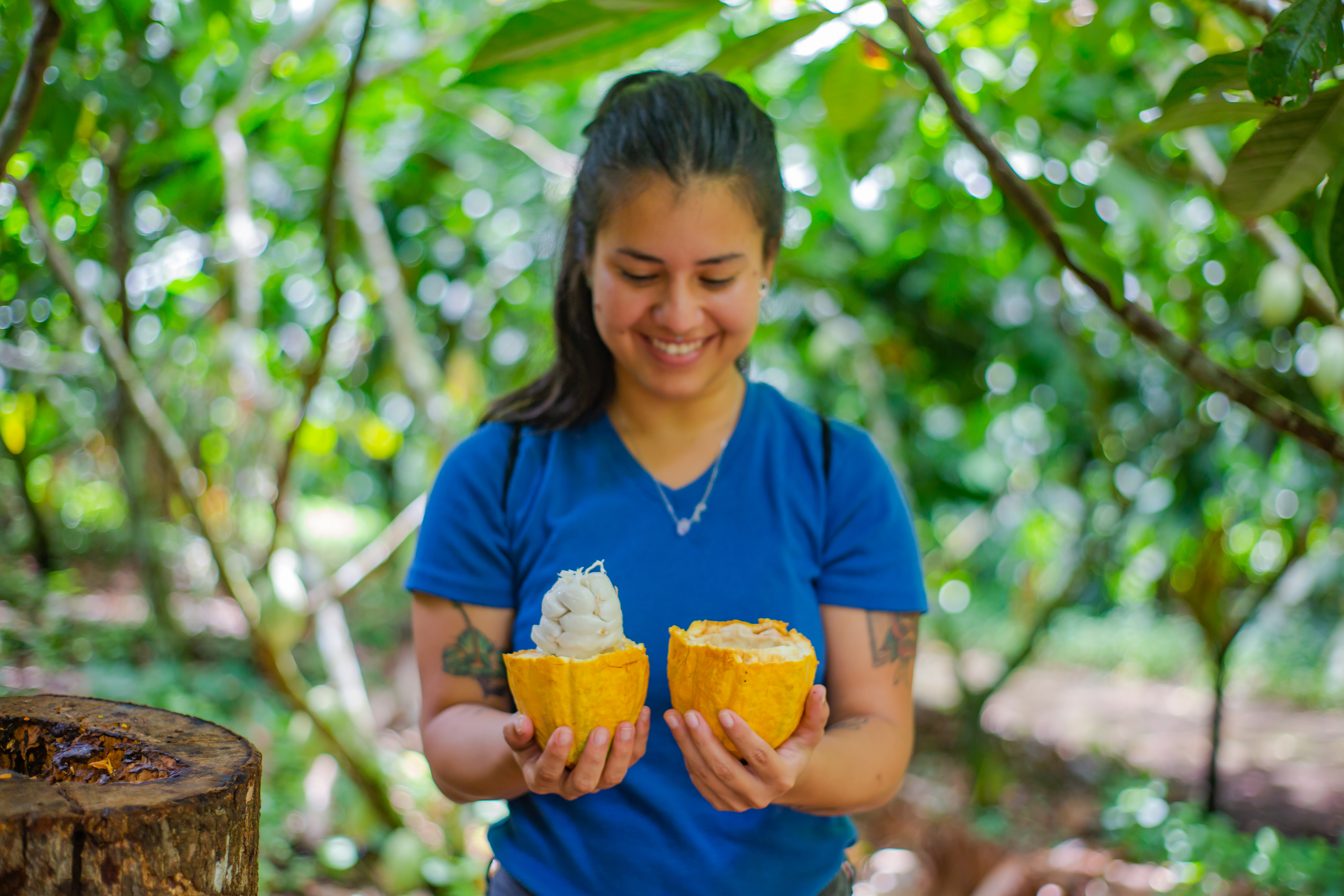 Cacao 2