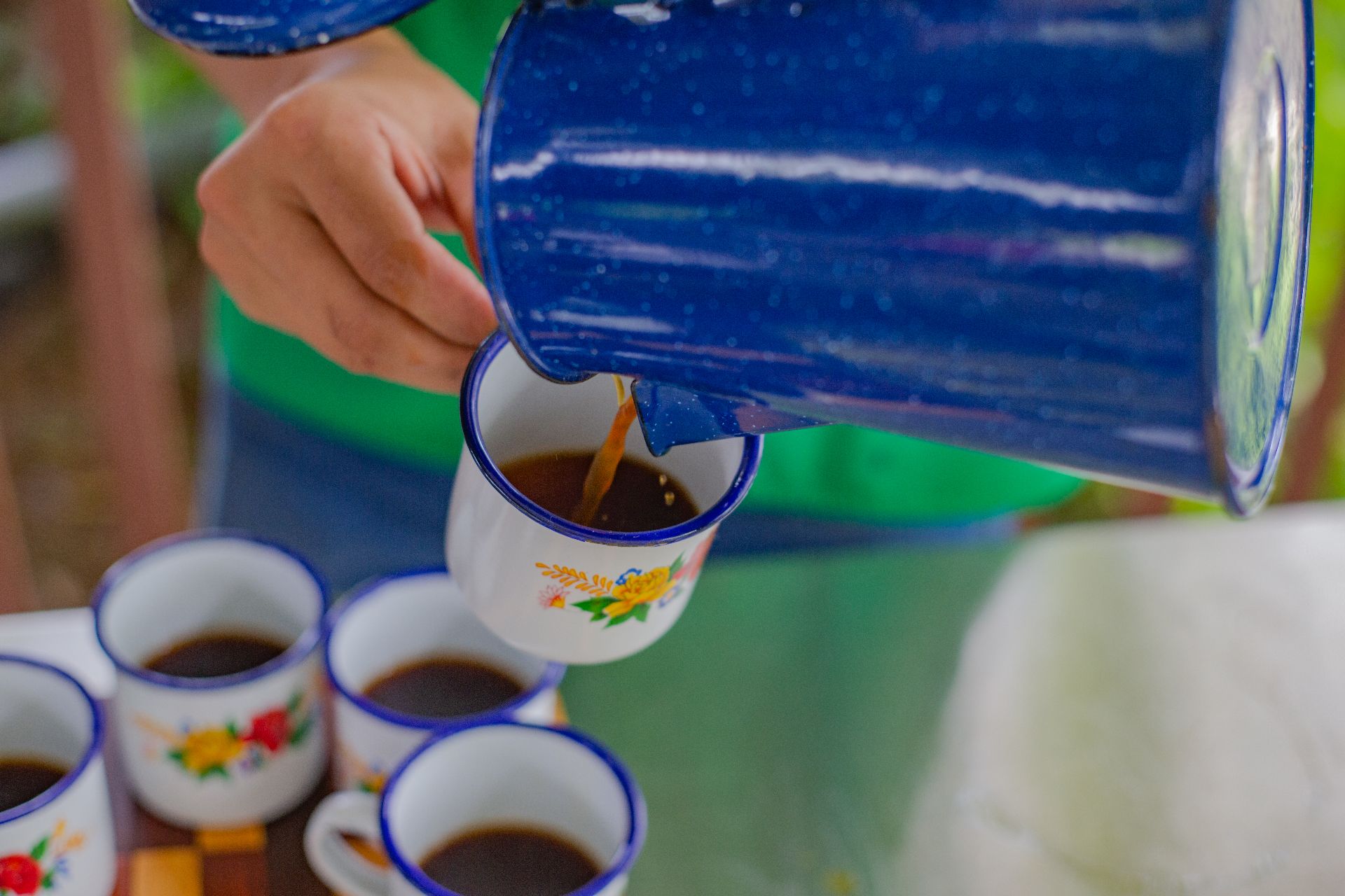Cacao 1