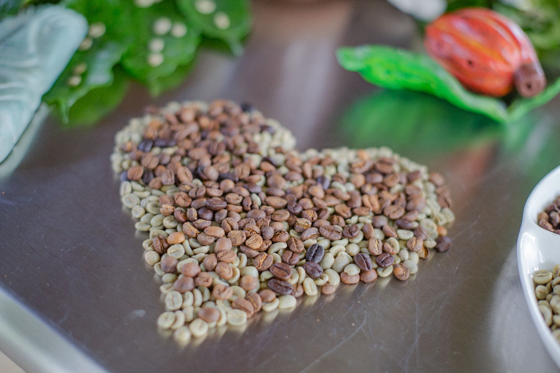 Cacao 2